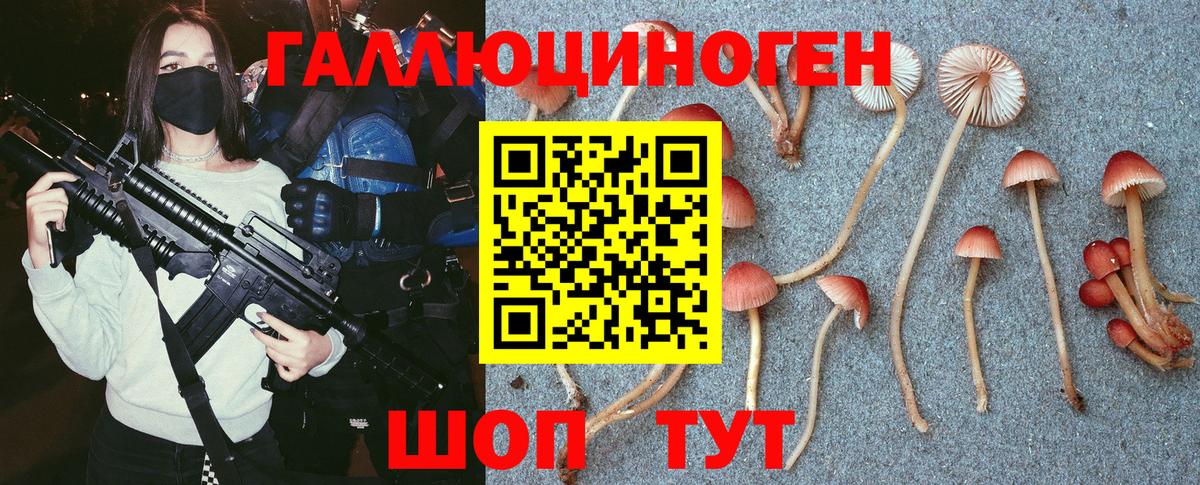 Псилоцибиновые грибы Psilocybine cubensis  Вход с VPN  Тула 